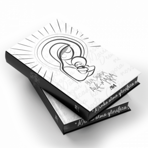 Bíblia Ave Maria Capa Maria