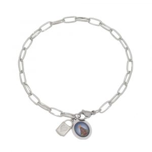 Pulseira da Consagração de Nossa Senhora Aparecida